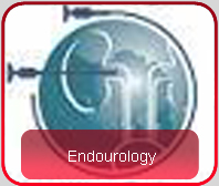 Endourology